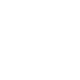 cosmetic icon