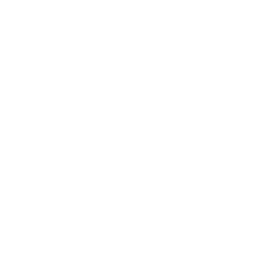 technology icon